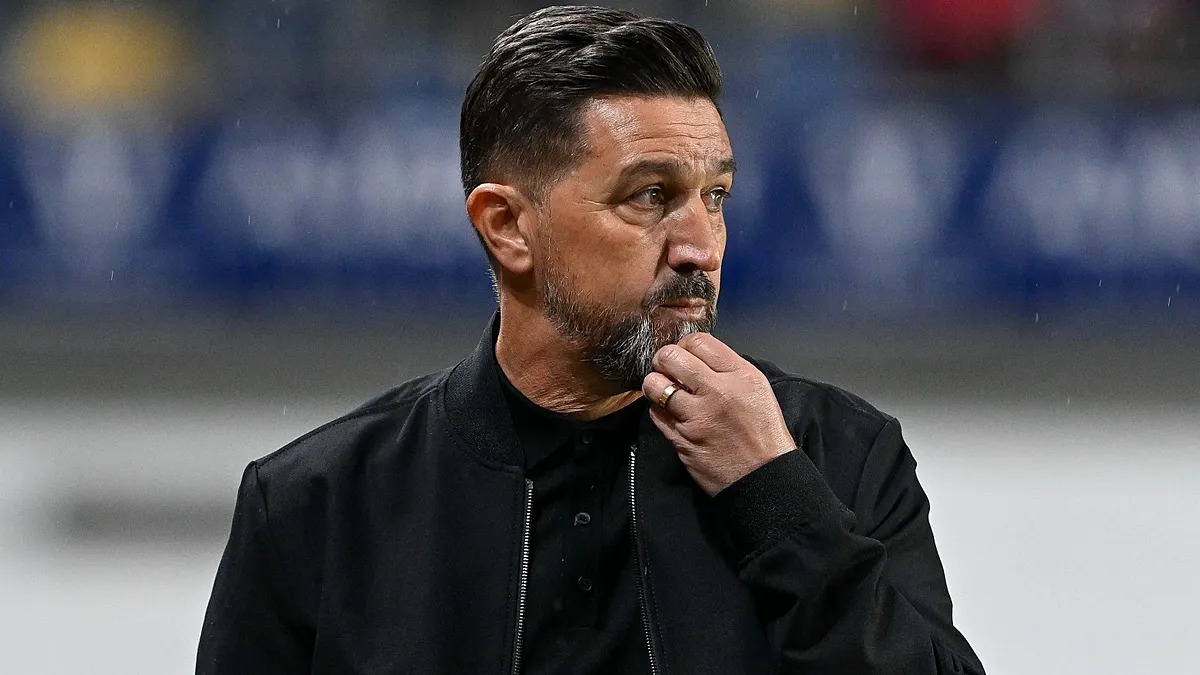 Hasi to Renard: STVV Transfer Talk