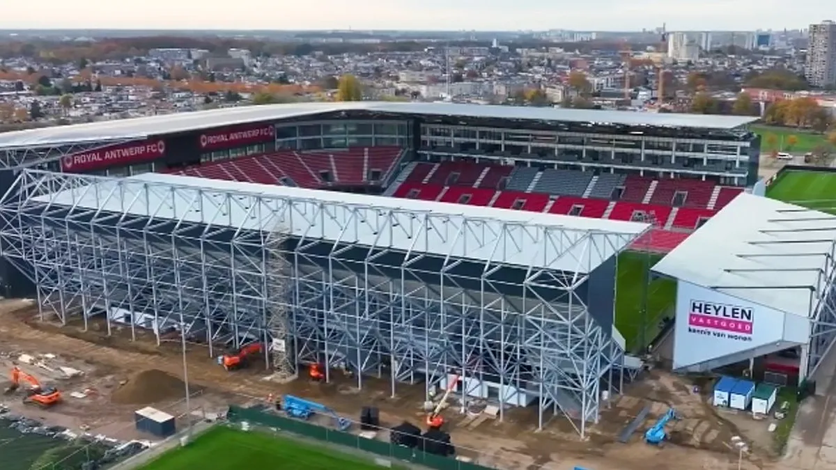 Antwerp Zoo: Tawny Owl Renewal & Latest News