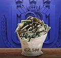 Max. 2,5 miljoen: de juiste strategie voor Anderlecht?