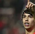 Monstertransfer bevestigd: Joao Felix vertrekt voor 126 miljoen