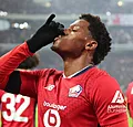 'Eindelijk toptransfer Jonathan David: gesprekken lopen'