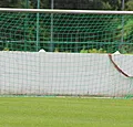 Oud-speler Real en Barca volgt Arveladze op bij Kayserispor