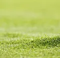 Vande Lanotte wil verzekering tegen hartaanval bij sporters