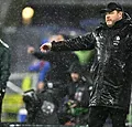 Vanhaezebrouck snoeihard: 