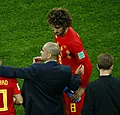 Vandenbempt velt zijn oordeel over mogelijke terugkeer van Fellaini