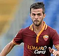 Gerbino: 