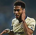 'Man van 80 miljoen lost spitsprobleem Club Brugge op'