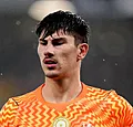 Britse pers brandt Penders volledig af: Alonso reageert
