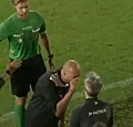 Stijn Stijnen gaat compleet door het lint: zware straf?