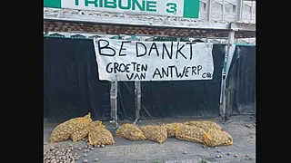 Antwerp-fans 'bedanken' Club: spandoek en ... aardappelen