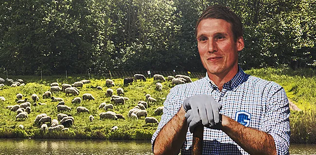 Tips voor Wolf: hoe Genk-coach zijn schaapjes snel op het droge kan krijgen