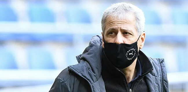Favre doet gewaagde voorspelling over Club Brugge