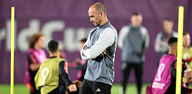 Waalse kenners zien één perfecte opvolger Martinez