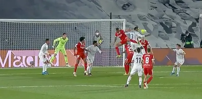 Real in alle staten: 