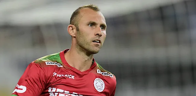 Buffel: 