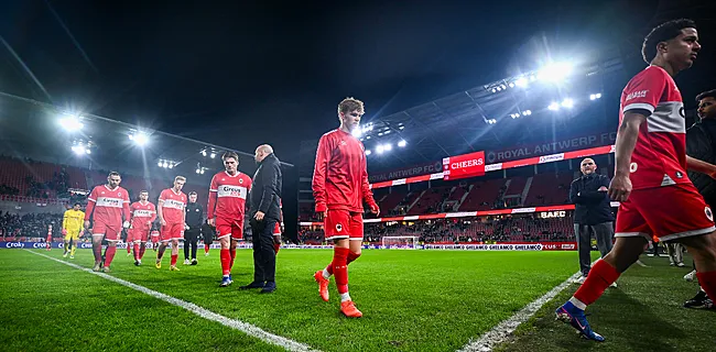 Stevige kater voor Antwerp: 