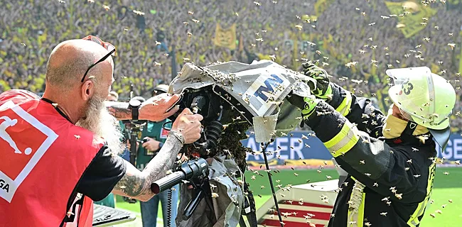 BIZAR: Dortmund-stadion geteisterd door bijeninvasie