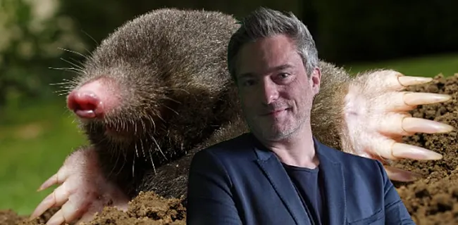 Gilles De Coster huivert: 'Grootste Mol-blunder ooit?'