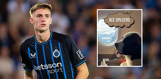 Spileers laat hondje overvliegen met privéjet: 