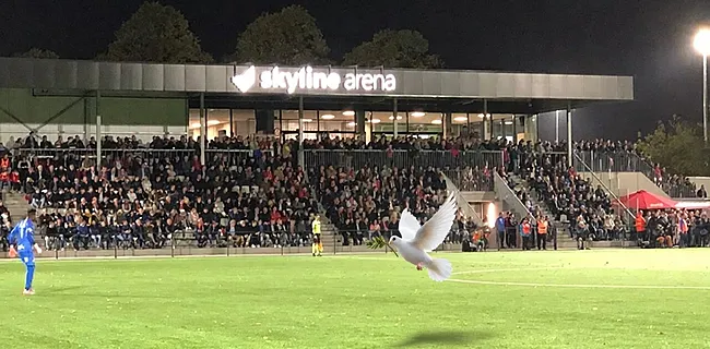 Paniek in amateur: 'Racismerel beslist kampioenschap'