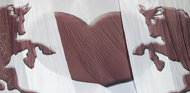 OFFICIEEL: Standard doet zaken met Torino