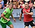 'Bornauw wil terug naar Rode Duivels met deze transfer'