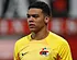 ‘Droomtransfer Anderlecht met ‘de Beul van Belgrado''