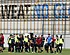 <strong>'PL-promovendus Sheffield United wil shoppen bij Club Brugge'</strong>