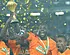 Afrika Cup zorgt voor rel: Belgische ingreep zindert na