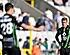 Cercle laat behoud liggen: woeste reactie De Wulf en spelers