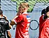 Kortrijk in rouw: Zulte Waregem wint derby na ongelooflijk slot