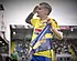 Groot feest bij Westerlo: Standard gaat onderuit