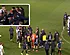 Heftige beelden na Charleroi-Club Brugge: "Hallucinant"