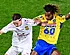 Westerlo en Beveren gelijk na episch duel; nieuwe dreun Essevee