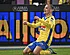 ‘Westerlo mikt op jackpot: strijd om Frigan barst los'
