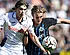 'Anderlecht-Club: Taravel & Leko hakken knopen door'