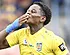 SK Beveren maakt sterke thuisreputatie weer waar tegen STVV