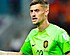 'WK-held Noppert afgewezen door Belgische laagvlieger'