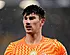Britse pers brandt Penders volledig af: Alonso reageert
