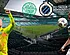 <strong>Schmeichel en Engels: 'Dé beste aankoop van Celtic'</strong>