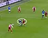 <strong>Genk benadeeld op Bosuil? 'Honderdduizend procent fout'</strong>