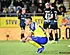 Sebaoui briest na STVV – Club Brugge: ploegmakkers afgemaakt