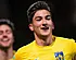<strong>Van den Keybus velt pijnlijk oordeel over Anderlecht</strong>