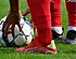 Fortuna Sittard pakt uit met Belgische coach